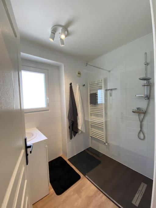 Magnifique Appart Renove Evian Duplex Vue Lac 8 Pers Luaran gambar